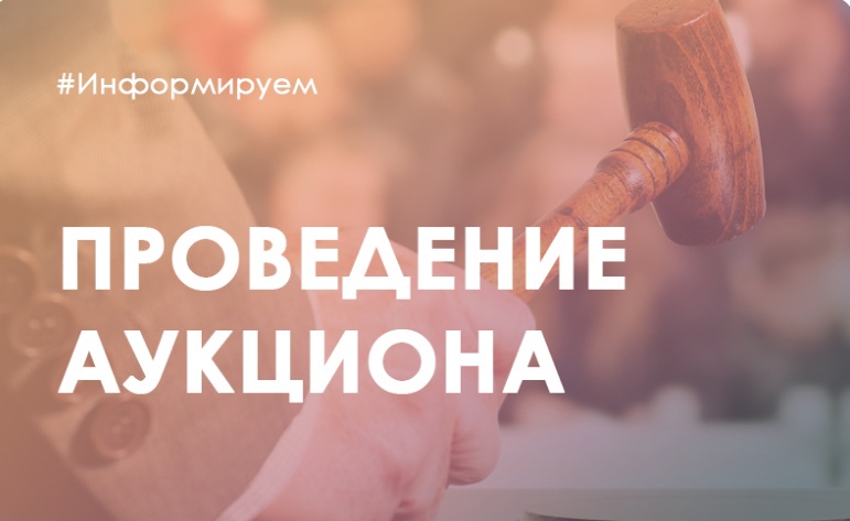 Информация  о проведении аукционов в электронном виде на право заключения договора аренды  лесного участка, находящегося в государственной собственности.