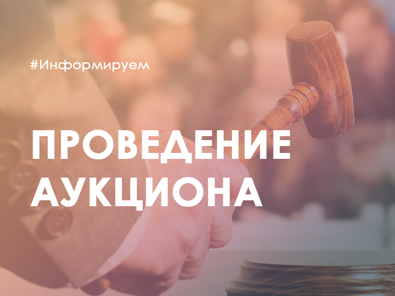 Информация  о проведении аукционов в электронном виде на право заключения договора аренды лесного участка, находящегося в государственной собственности.