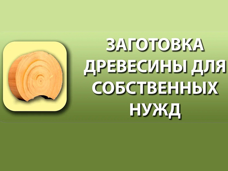 О запрете на отчуждение древесины, заготовленной гражданами для собственных нужд.