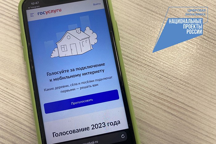 Жители Кировской области голосуют за подключение сел к интернету. Жители Кировской области голосуют за подключение сел к интернету.