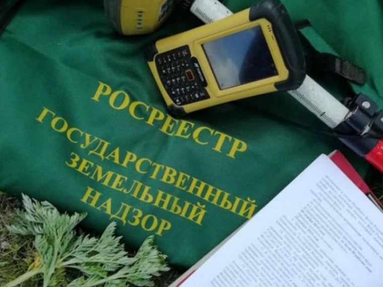 Региональный Росреестр: не стоит бояться профилактических визитов!. Региональный Росреестр: не стоит бояться профилактических визитов!.