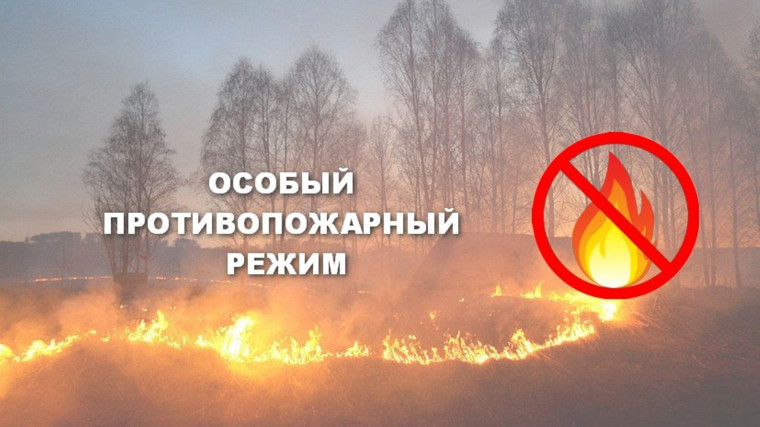 В Кировской области введен особый противопожарный режим. В Кировской области введен особый противопожарный режим.